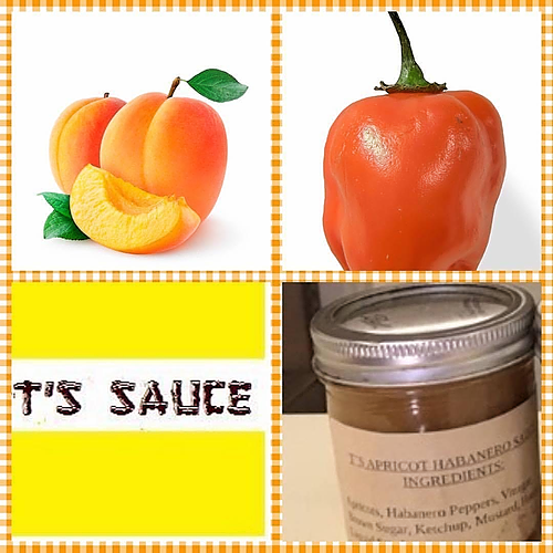T'S APRICOT HABANERO SAUCE