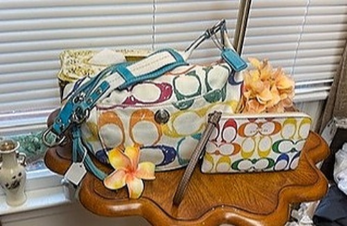 Coach Pride Colorful Handbag and Wallet Set