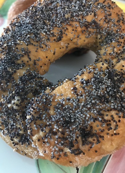 Poppy Seed