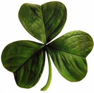 St. Patrick's Day Special - Corned Beef & Cabbage Week!