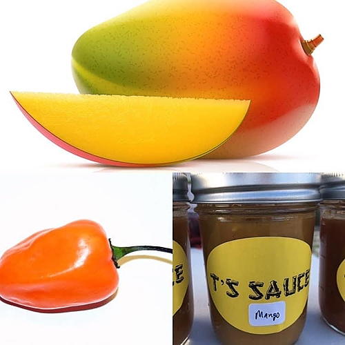 T'S MANGO HABANERO SAUCE