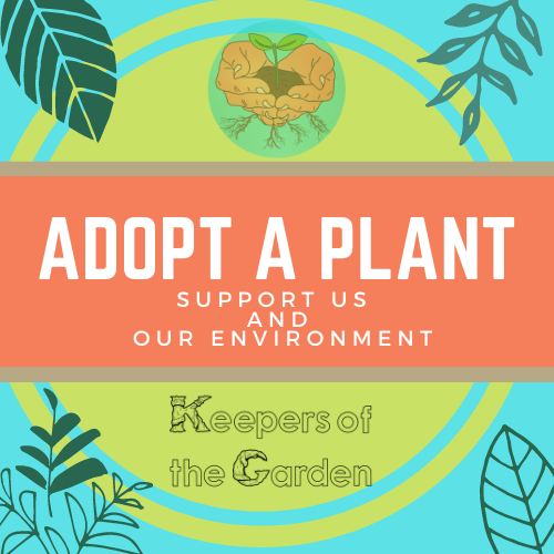 Support us/Adopt a Plant! (Choose Amount)