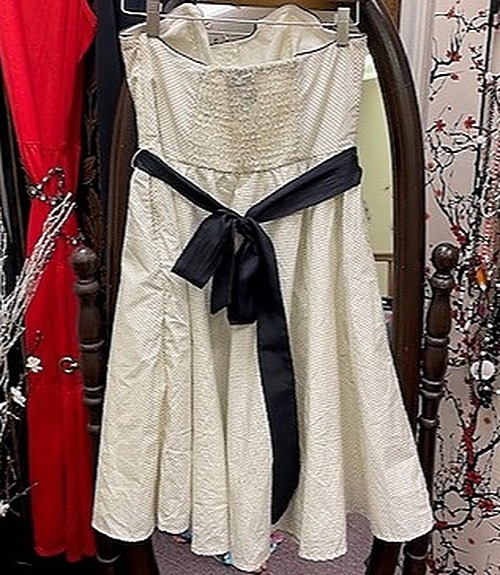 Anthropologie Ivory and Black Strapless Dress