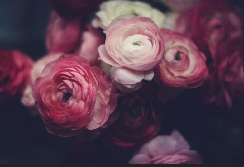 Southern Weddings & Country Flowers Jesup, Home