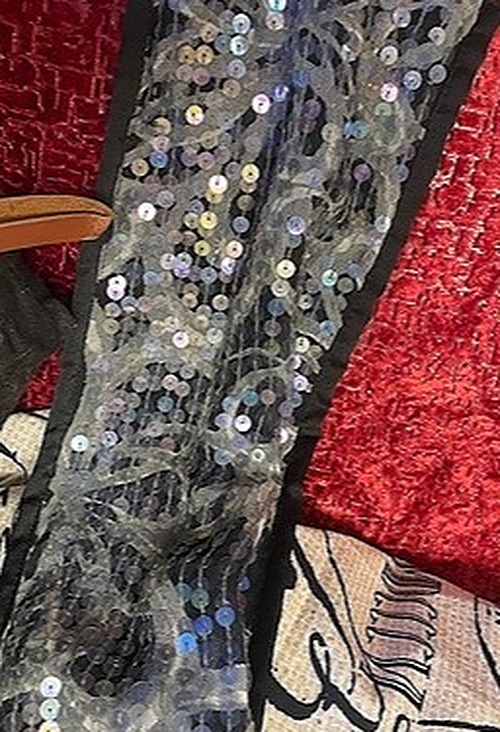 Black Velvet and Sequined Scarf