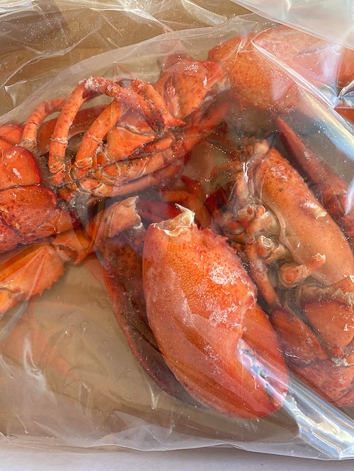 Whole Lobster (2-3)