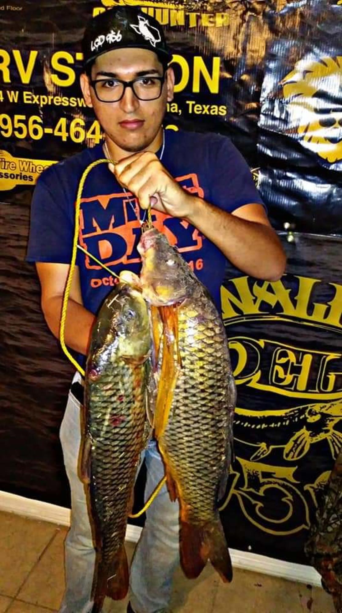 lcd 956 bait and tackle