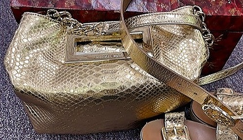 Michael Kors Gold Clothing Set