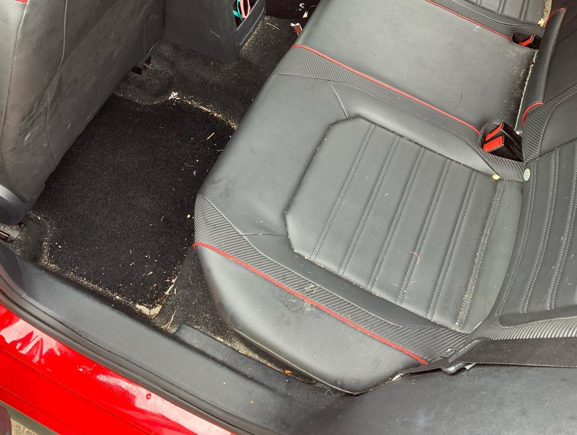 RAD Auto Detailing RAD Auto Detailing Gallery