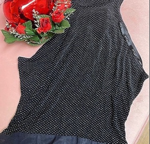 Cach'e Black Bodysuit