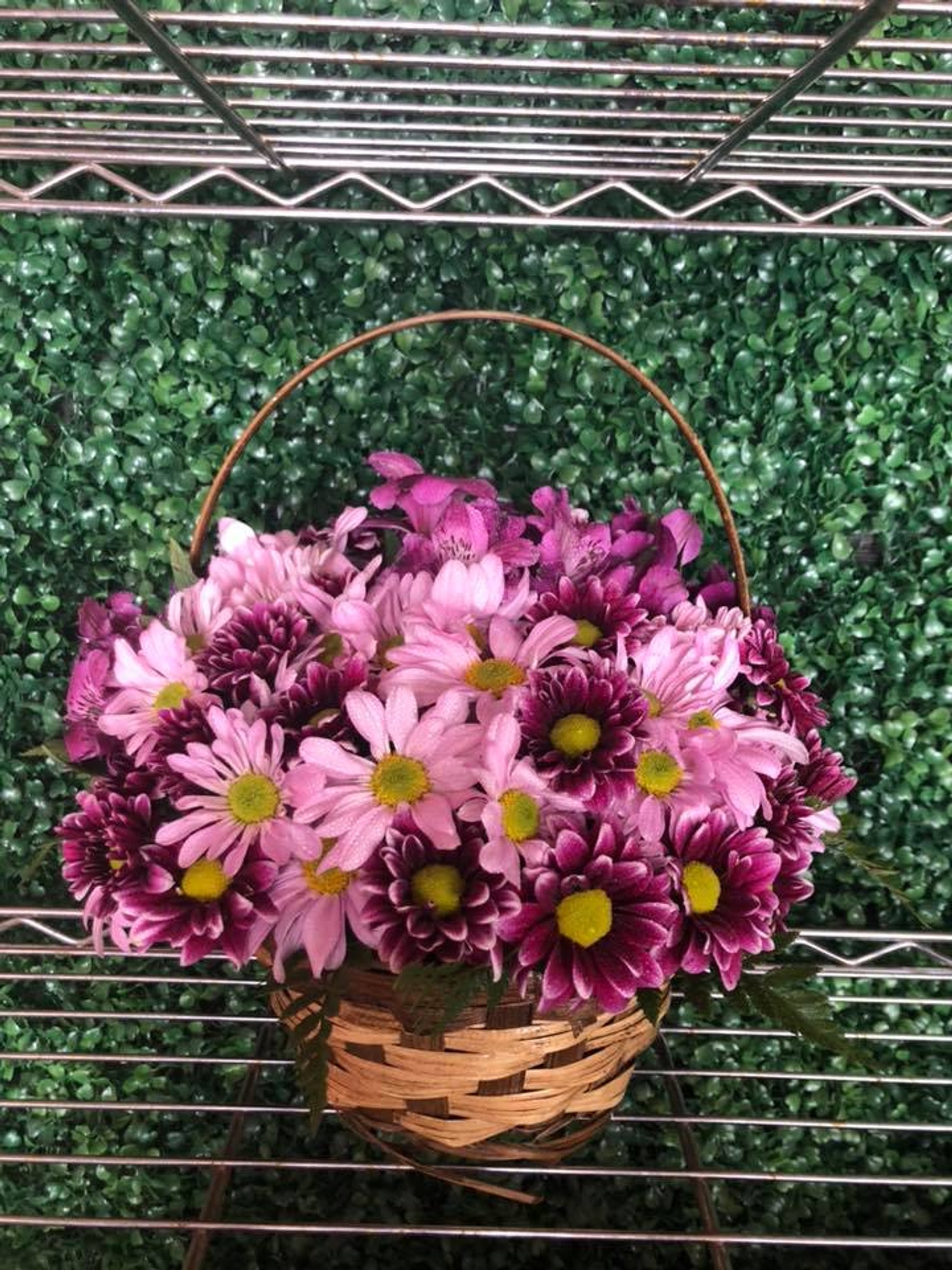 AZ Whittier Florist Everyday