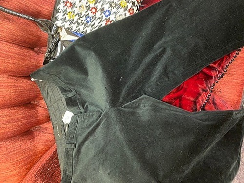 Express Velvet Slacks