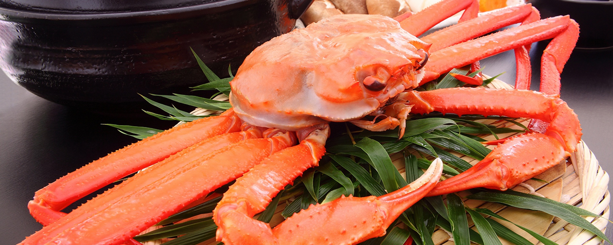 New Orleans Seafood Tallahassee, FL New Orleans Seafood