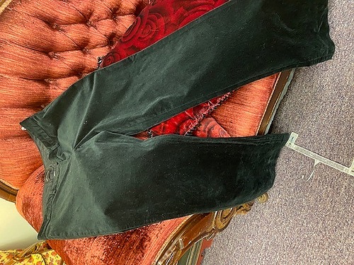 Express Velvet Slacks