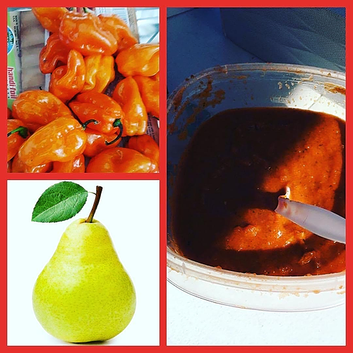 T's Poblano Pear Sauce