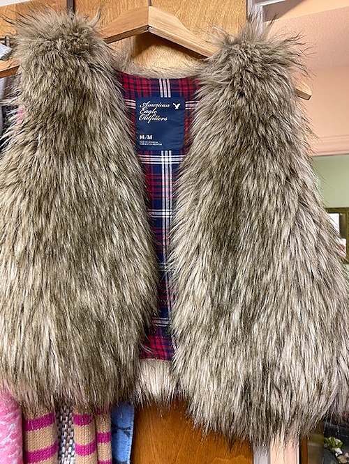 American Eagle Outfitters Faux Fur Vest