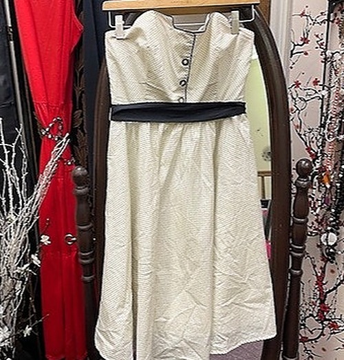 Anthropologie Ivory and Black Strapless Dress