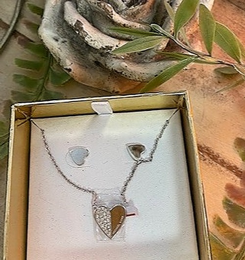 Michael Kors Silver Jewelry Set